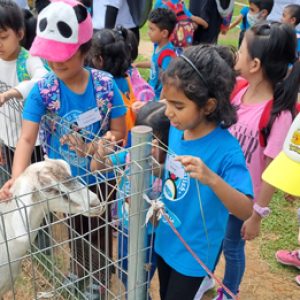 franchising_13 franchising_13