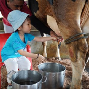 franchising_15 franchising_15